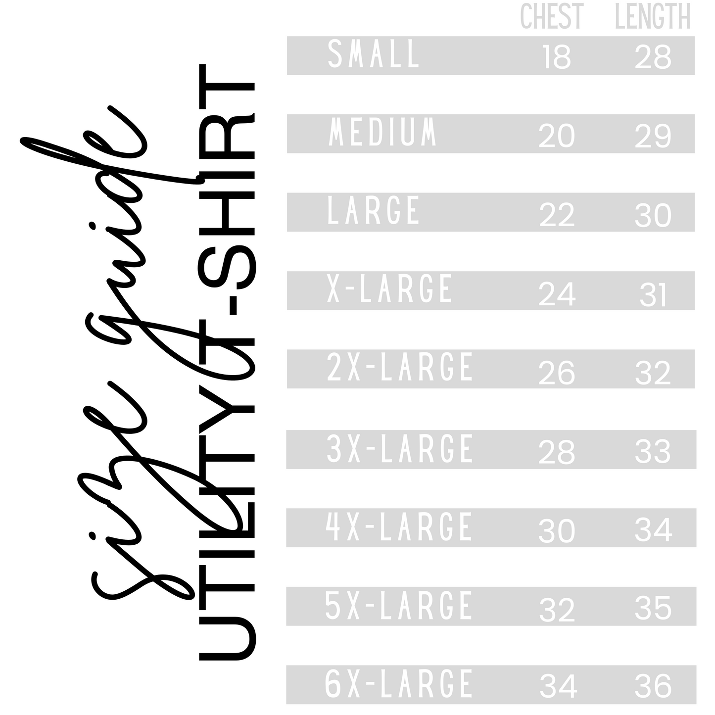 American Academy Cheer Team- Adult Sizes
