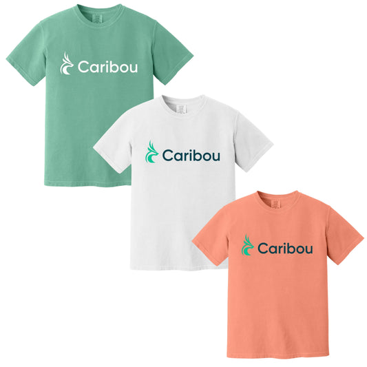 Comfort Colors Caribou T-Shirt